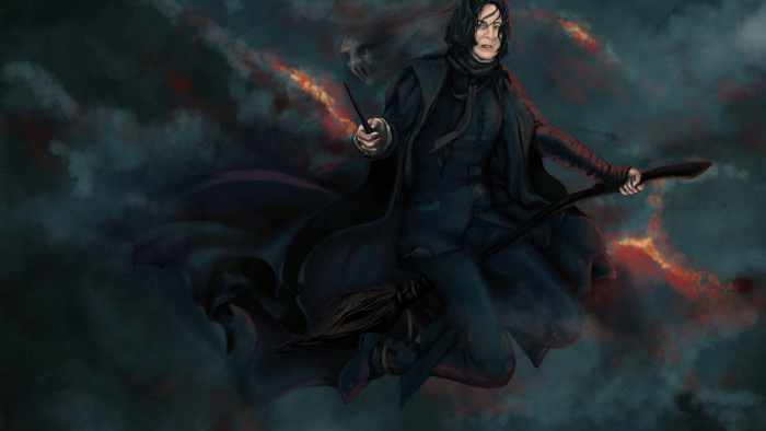 snape in a broom